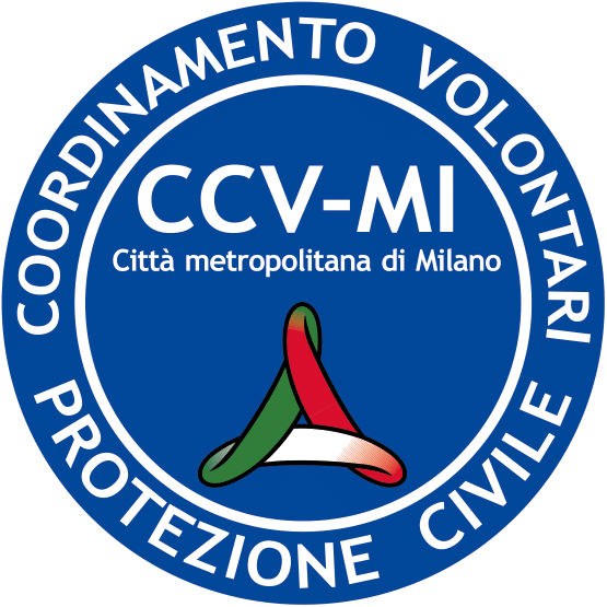 CCV-MI