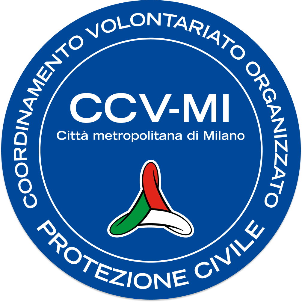 CCV-MI